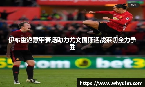 伟德bv国际体育