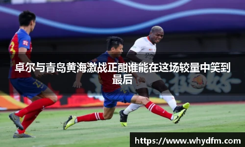 伟德bv国际体育