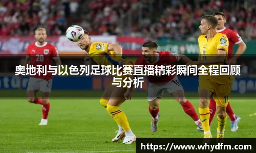 伟德bv国际体育